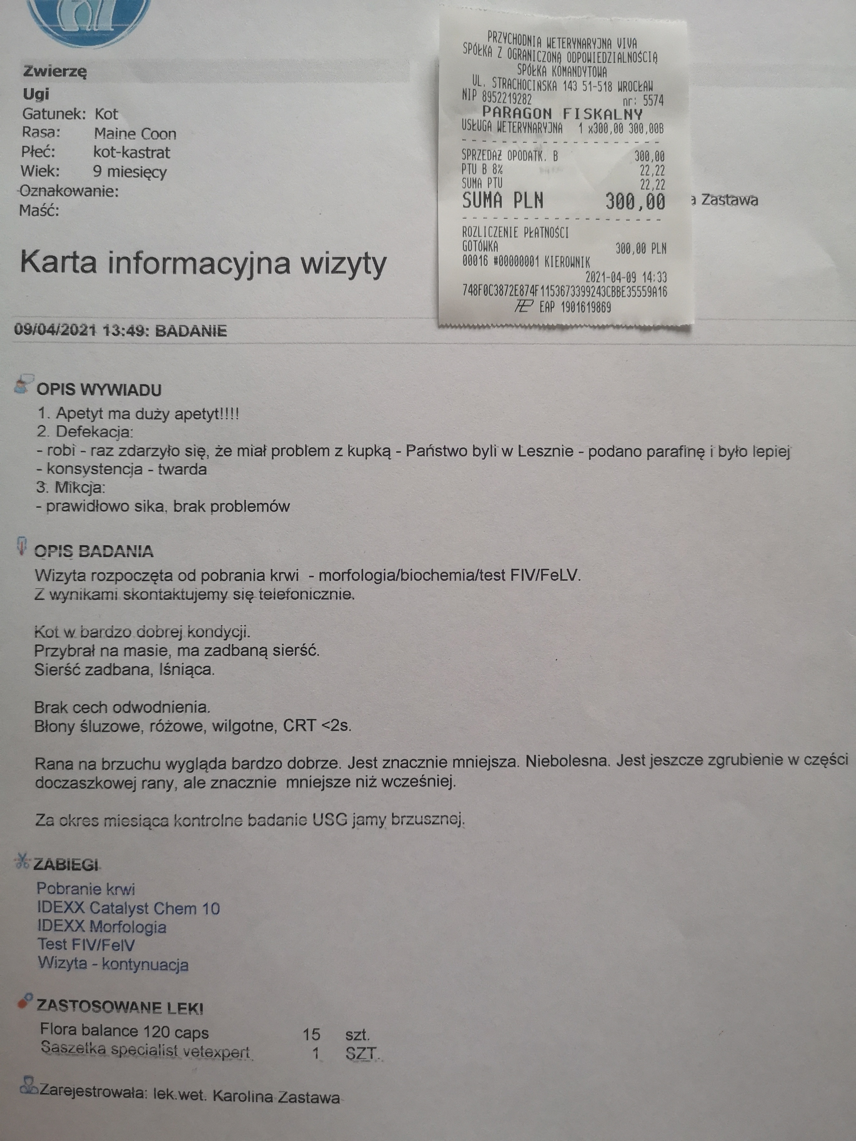 i38434d287941688.jpeg
