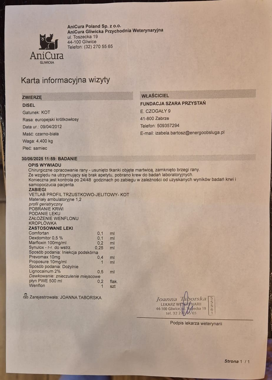 GgE1HoNzVLiKB5ga.jpg