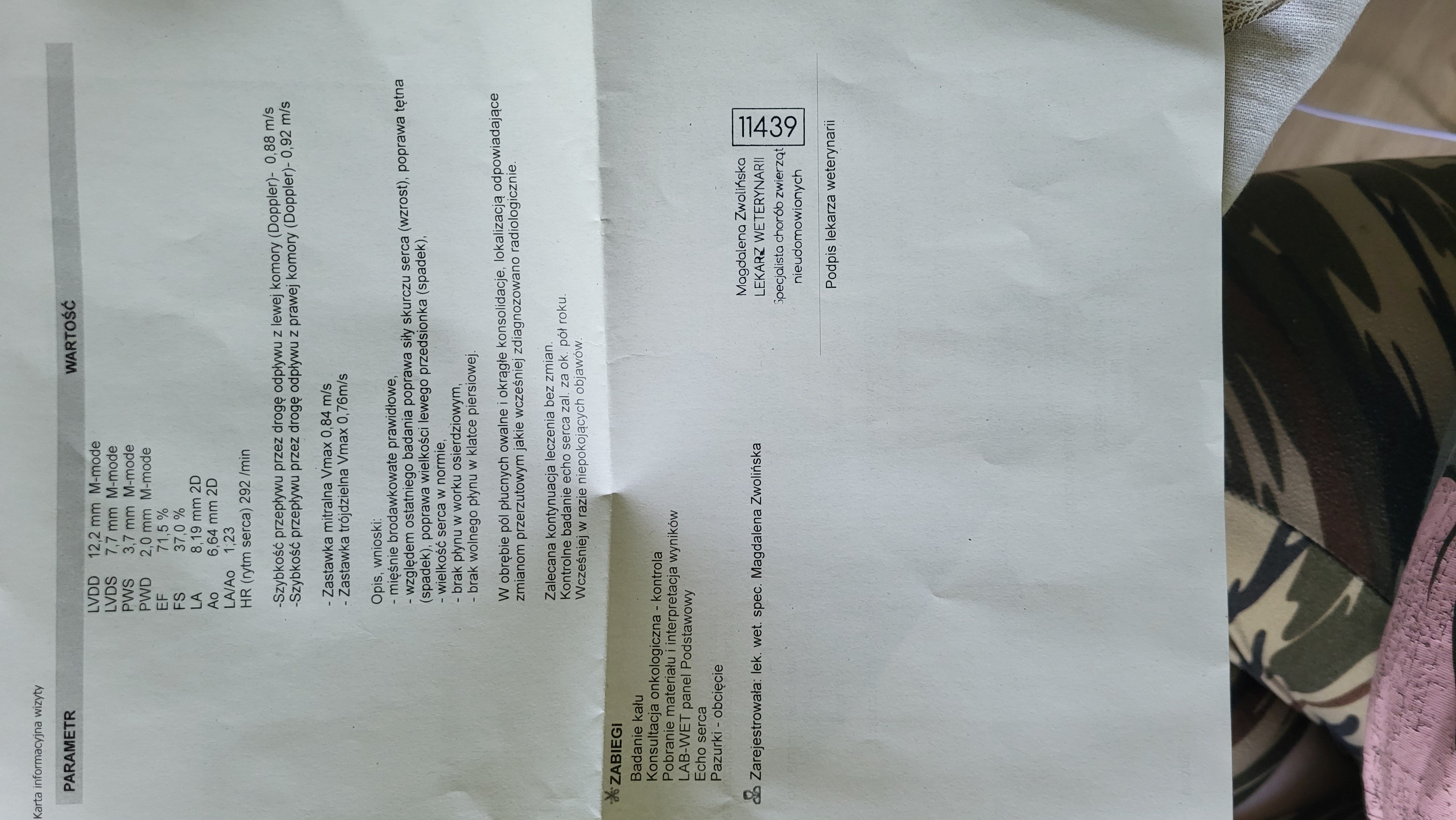 LwhQf2fzXy513Fp7.jpg