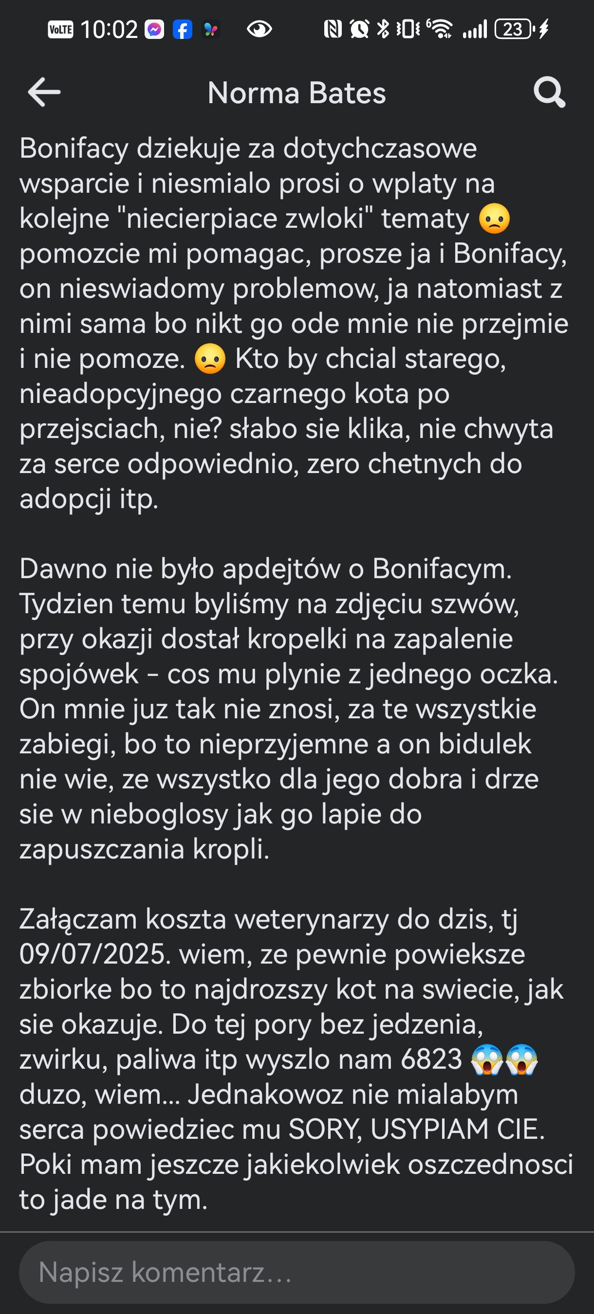vEfaX6zhNT0vT9kJ.jpg