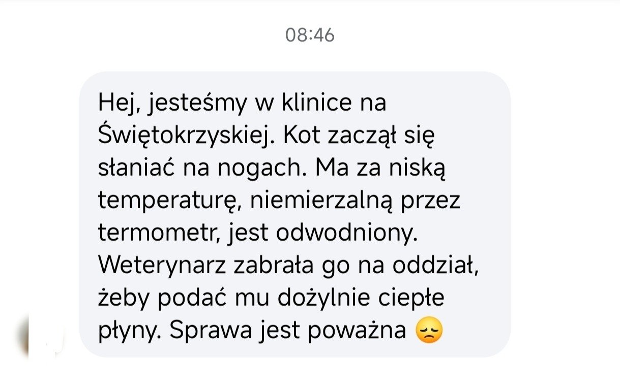 5Pv4TWO6CiZlyweb.jpg