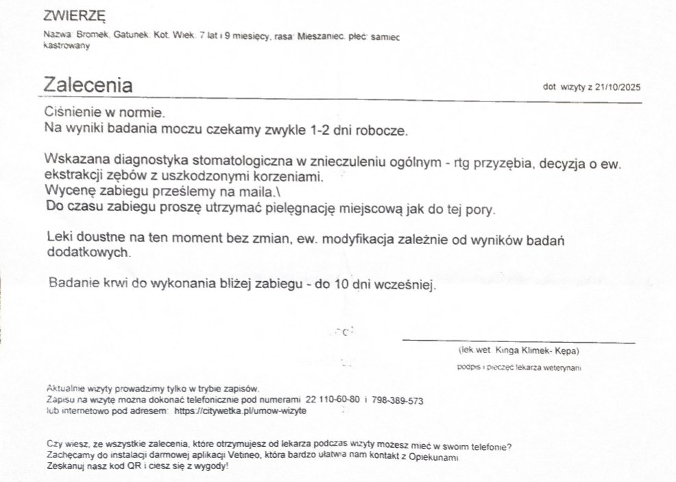 iGjK6desjkZ44JW8.jpg