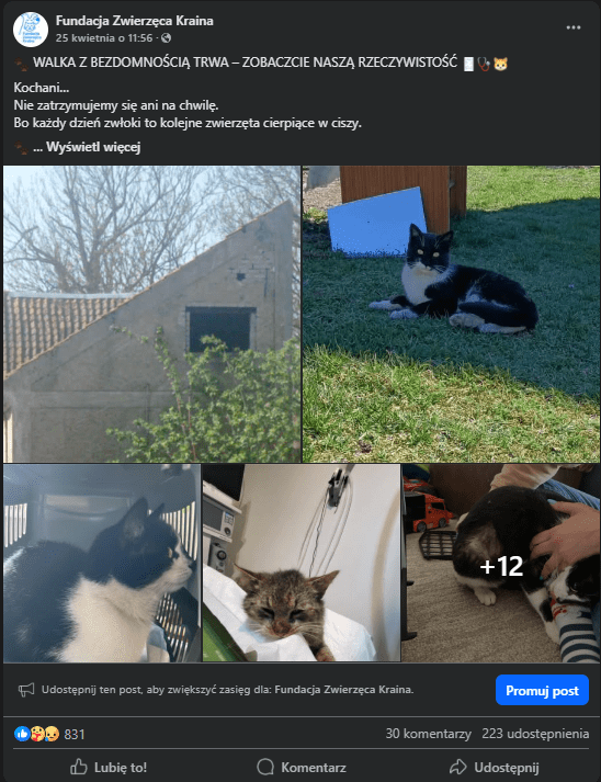 4NyDgkuNTKWtLAAM.png