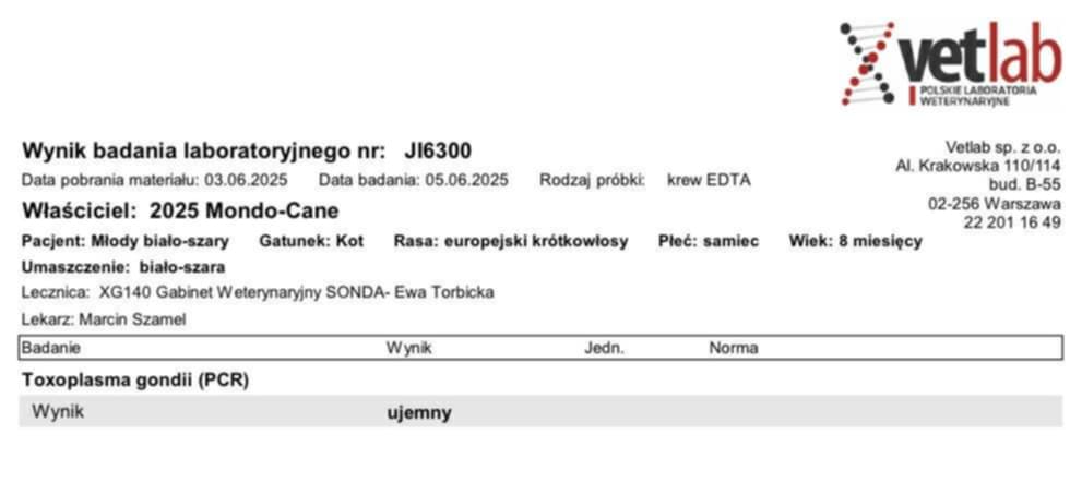 vruMj5PV5EsSjg9X.jpg