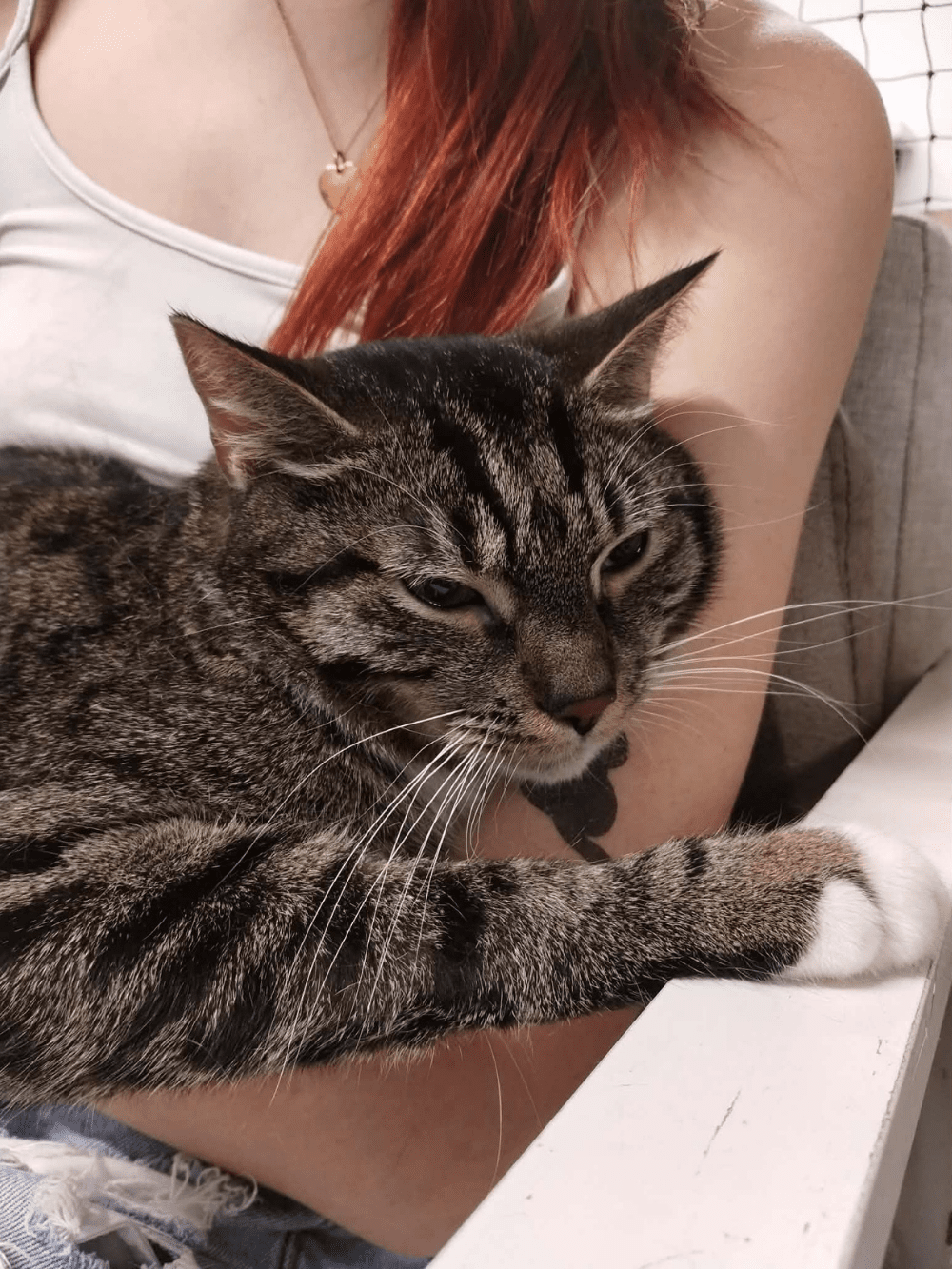 PfxPQpHNPVJrAgAW.png