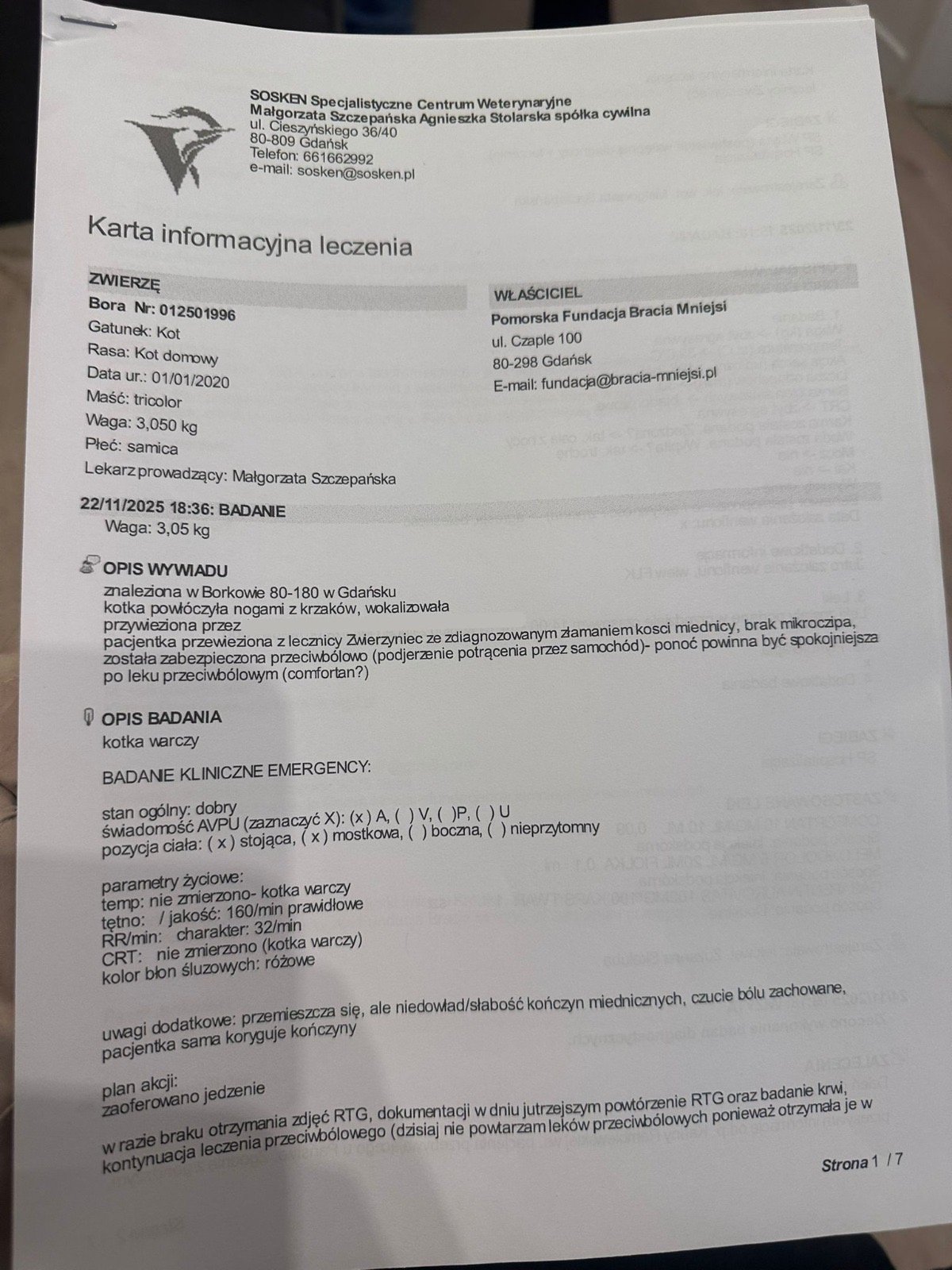 AO0joU8KemWKvcdP.jpg