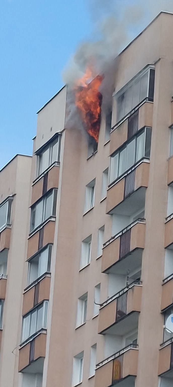 CgWWEgpWe1ErQ5zW.jpg