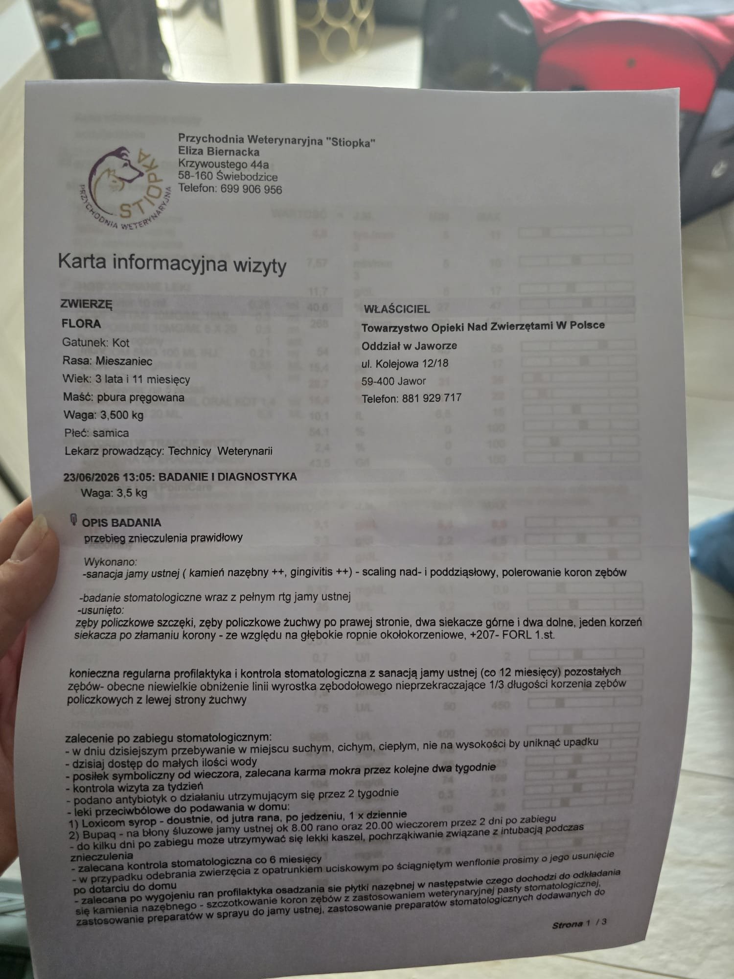 BKQiz7AIJLakMzG0.jpg