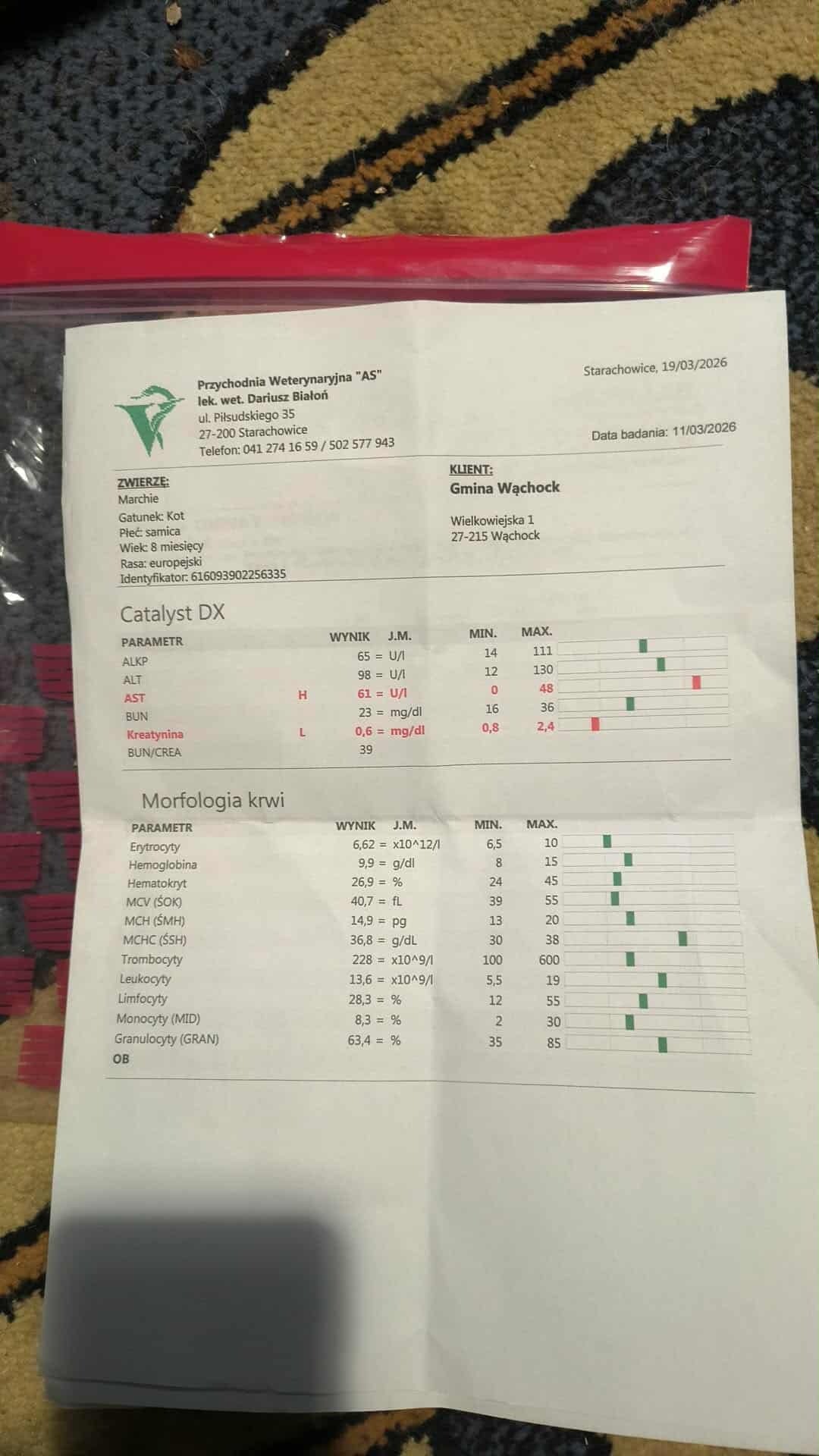 8tcCytwPoS17zWH1.jpg