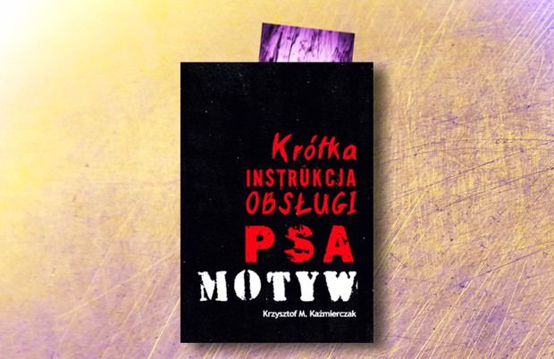 Zakładka we wszystkich książkach + dodatki