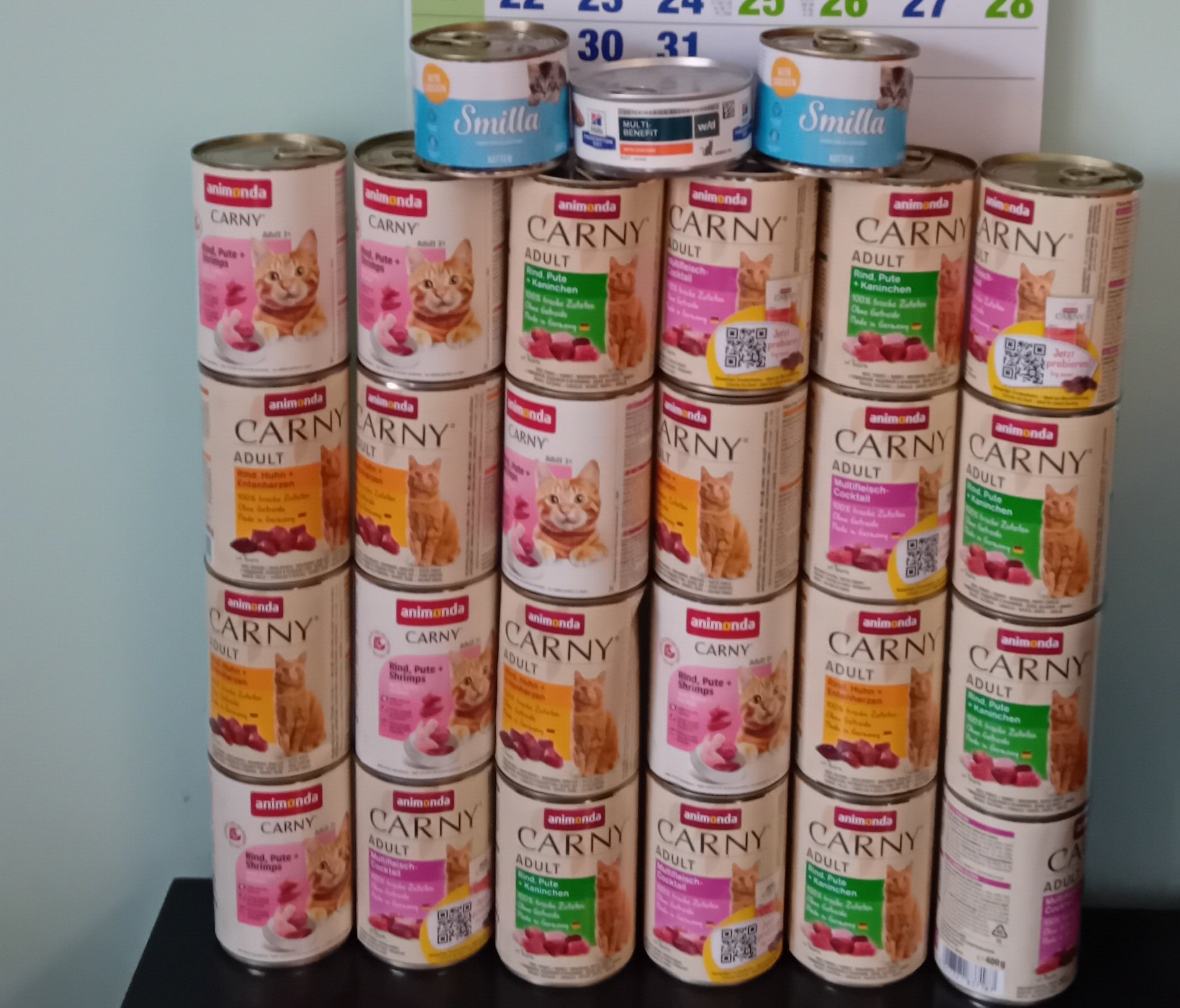 ehzaQvcmHzElZizS.jpg