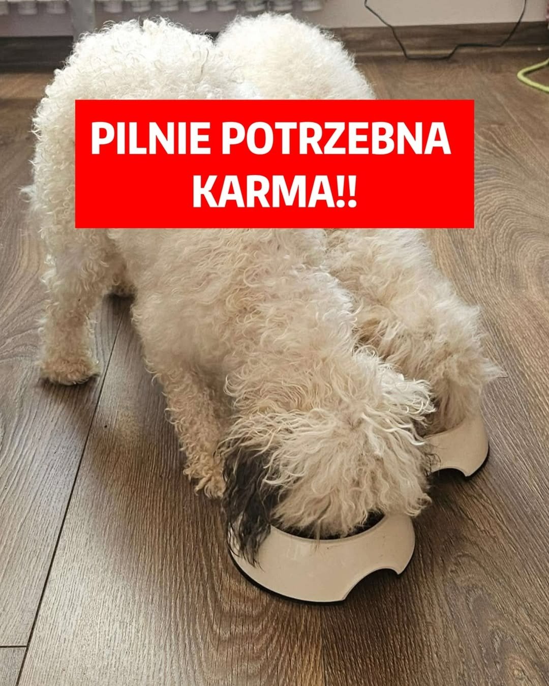 xeV5q59Rzc4uvdOg.jpg