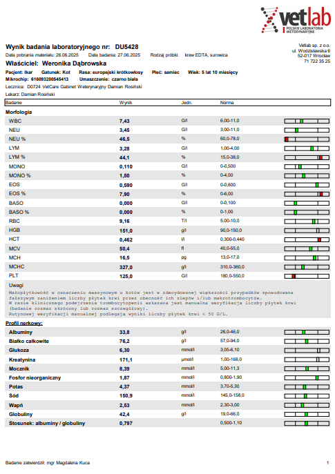 573lno6dsZW7MNPy.png
