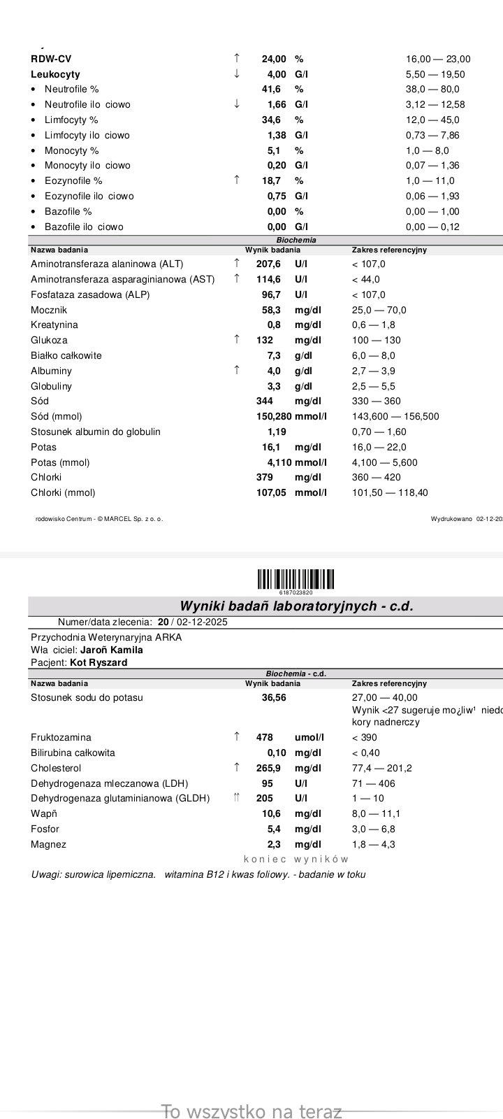 vD5sybospp0FFNs3.jpg