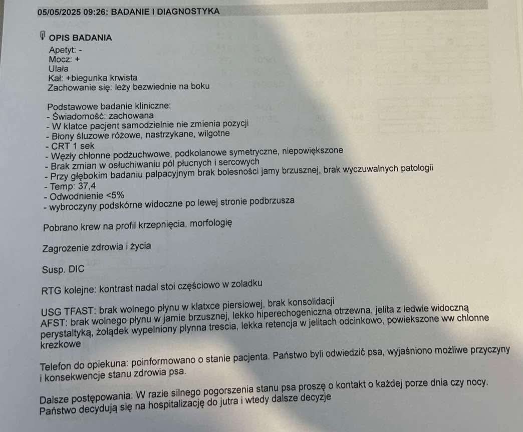 blvAkAENLGnoiVlJ.jpg