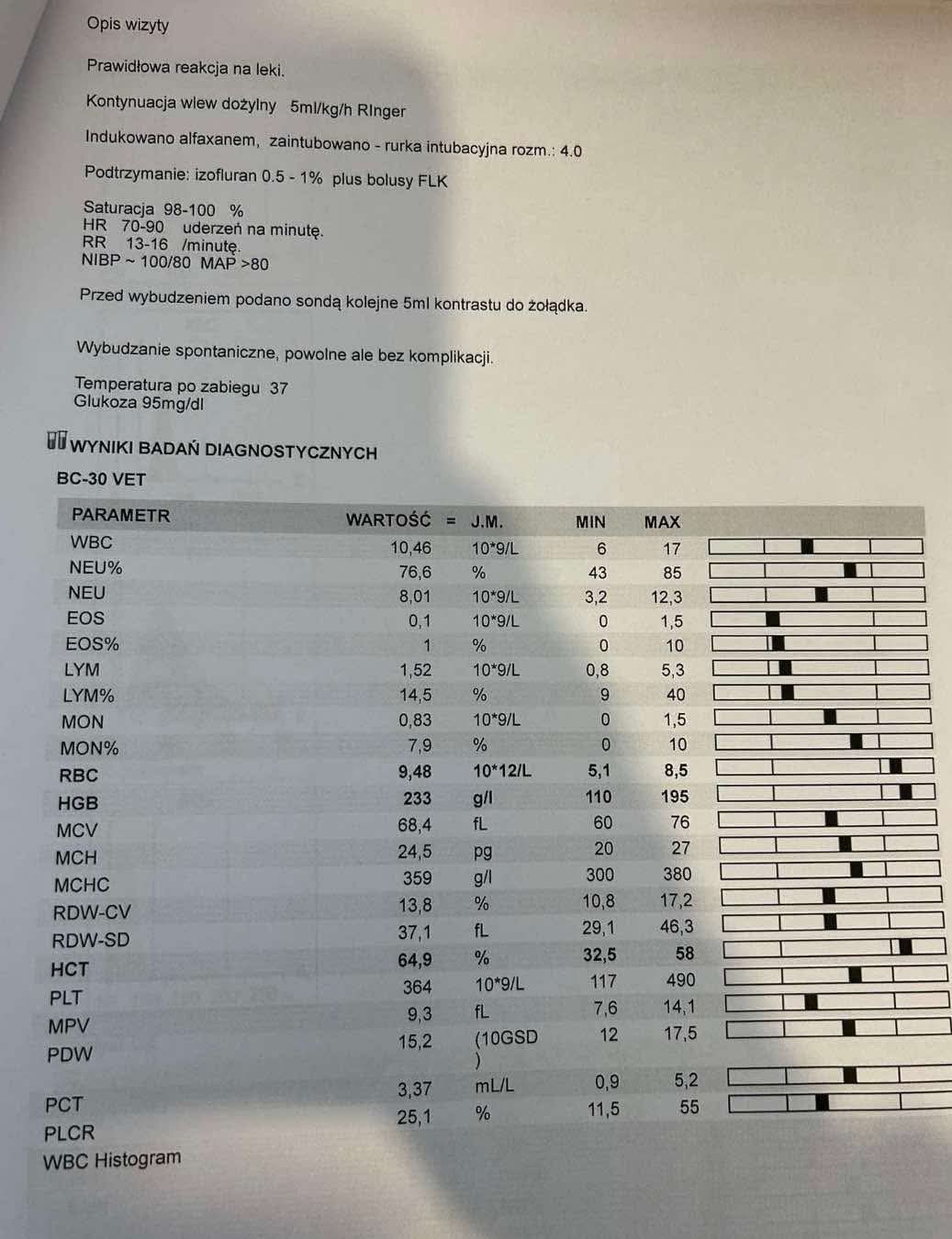 jwKE7I6EOybNUpET.jpg