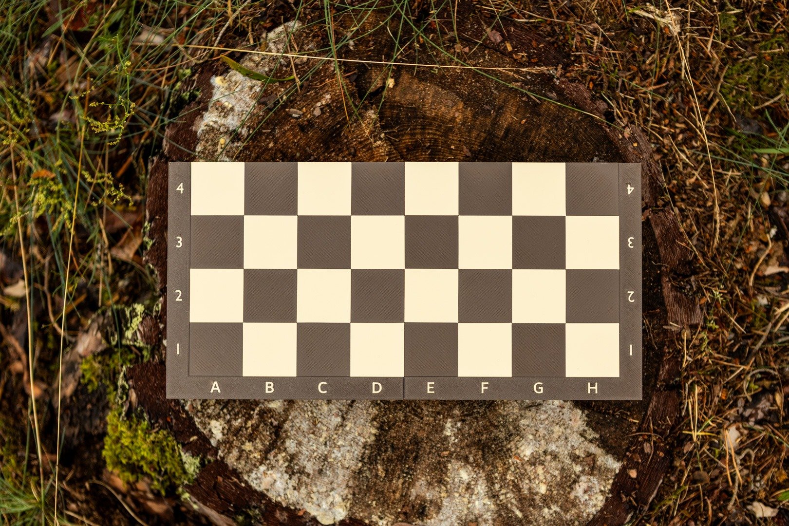 gV7nms1iqaqG1WFA.jpg