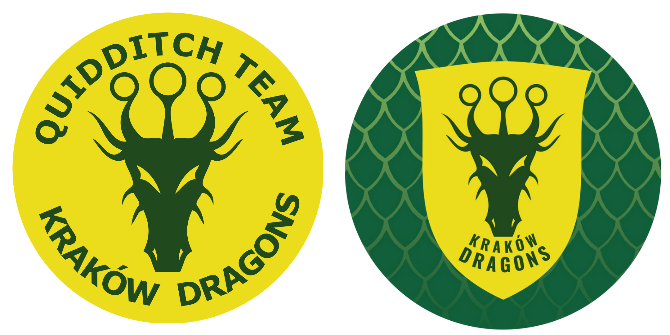 Zestaw naklejek Kraków Dragons