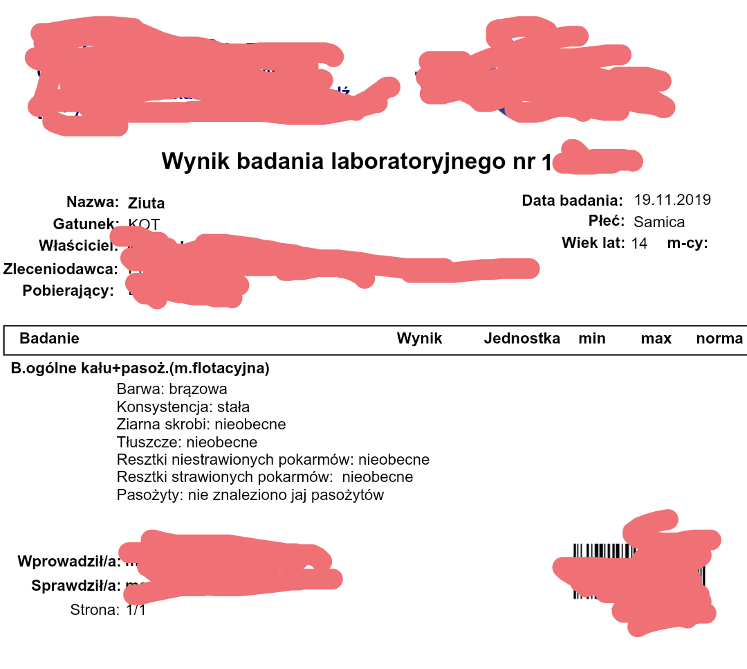 k1a6eff4323d0034.png