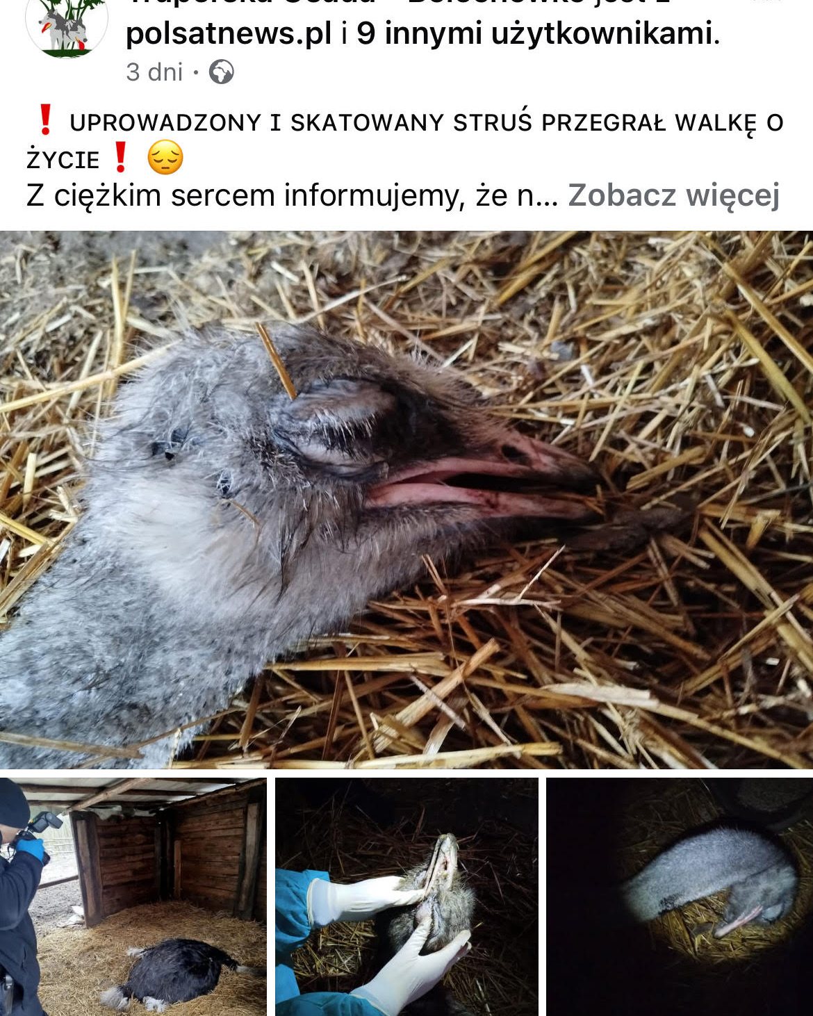 vjMJGE8Wu5diJzss.jpg
