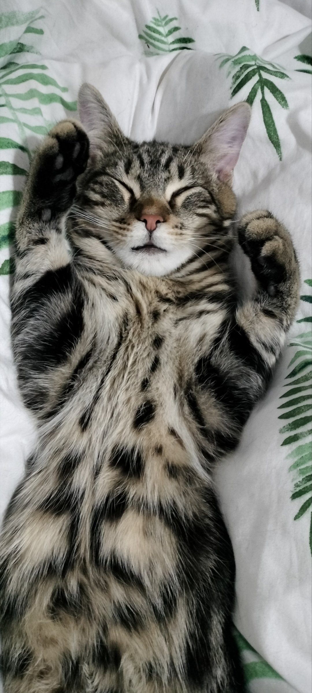 C1TEEoFrvAMAkRJB.jpg