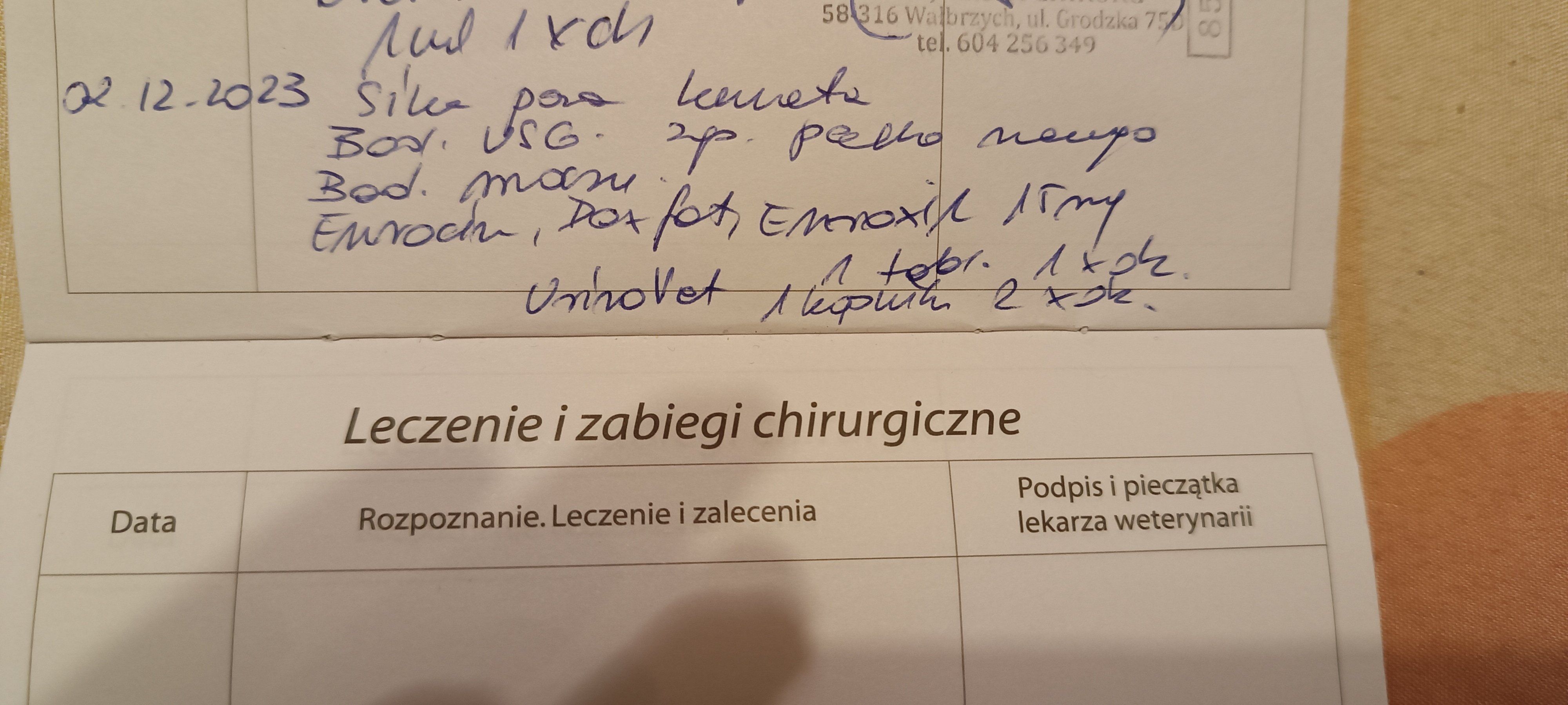 XchemHxuDtCNVAOt.jpg