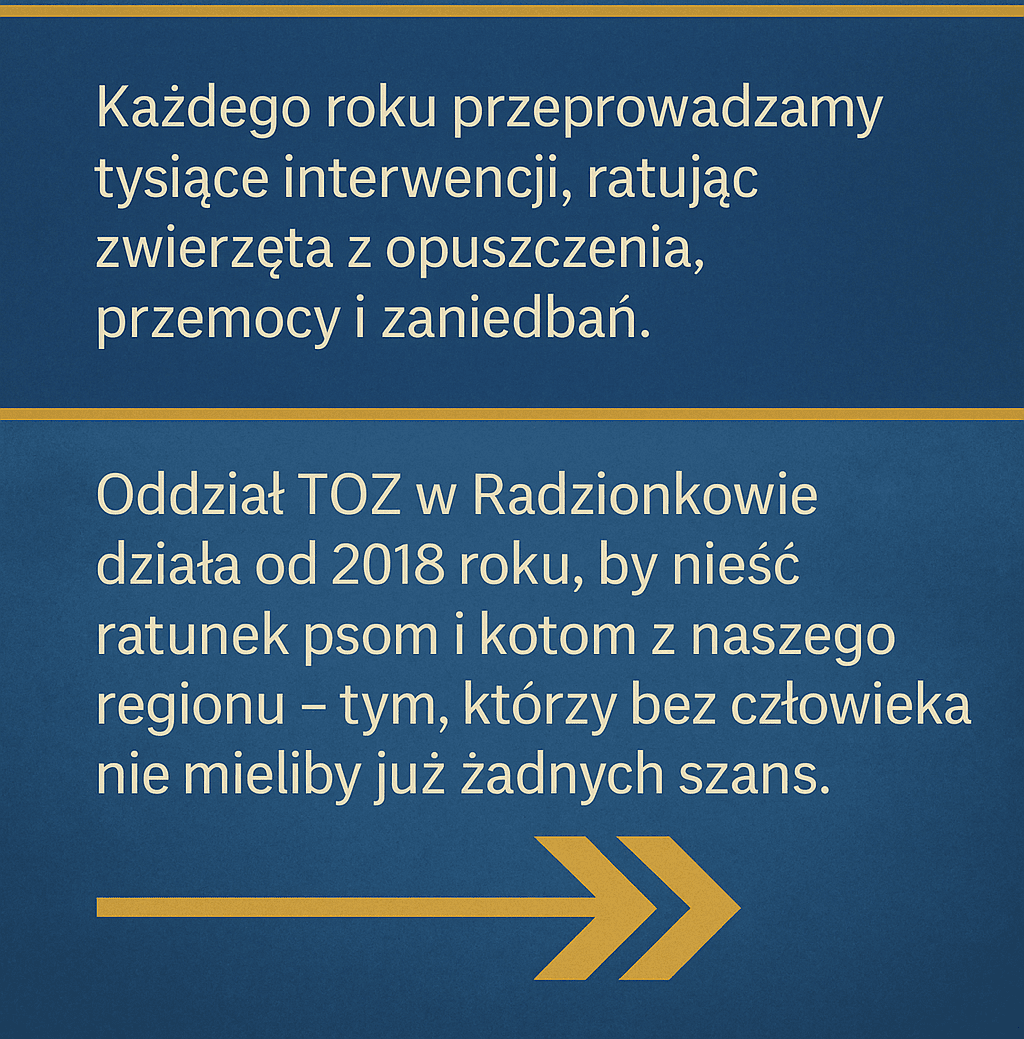 UD38v8IL9Q62B3RC.png