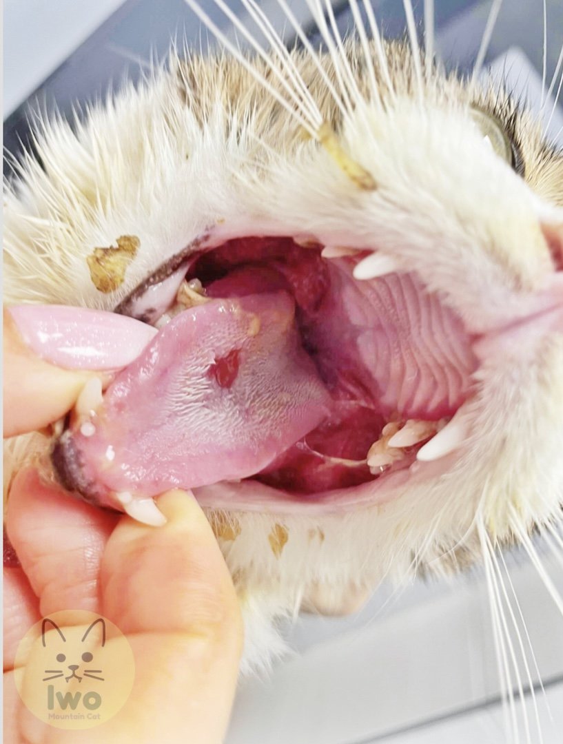 XBFrMGoBuVeFK8Sr.jpg