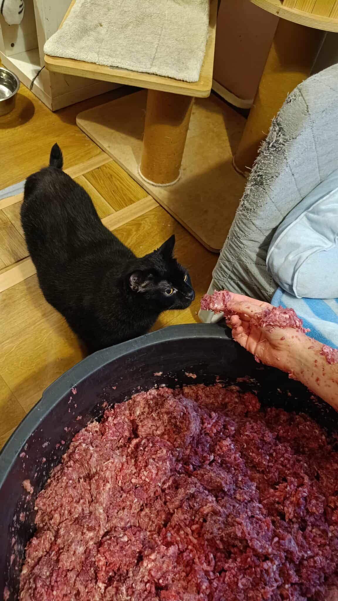 yZmcnXyrDZJMkdvm.jpg
