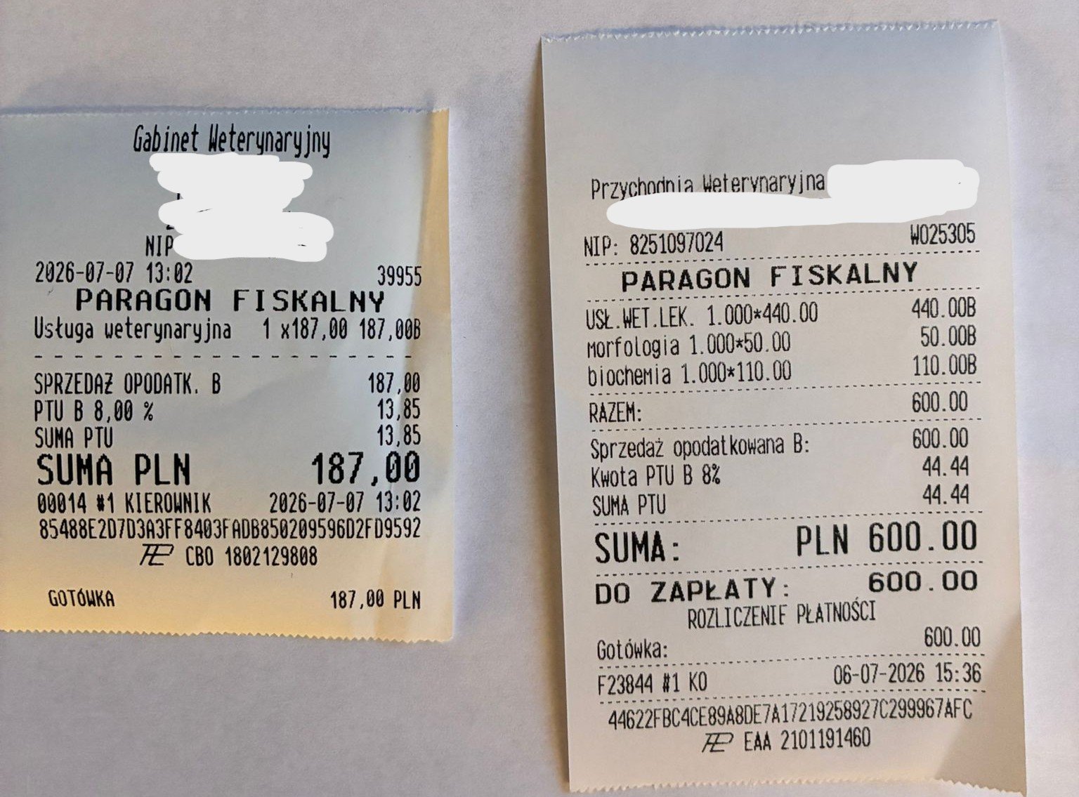 0c9tNlaJ8EMz67tn.jpg