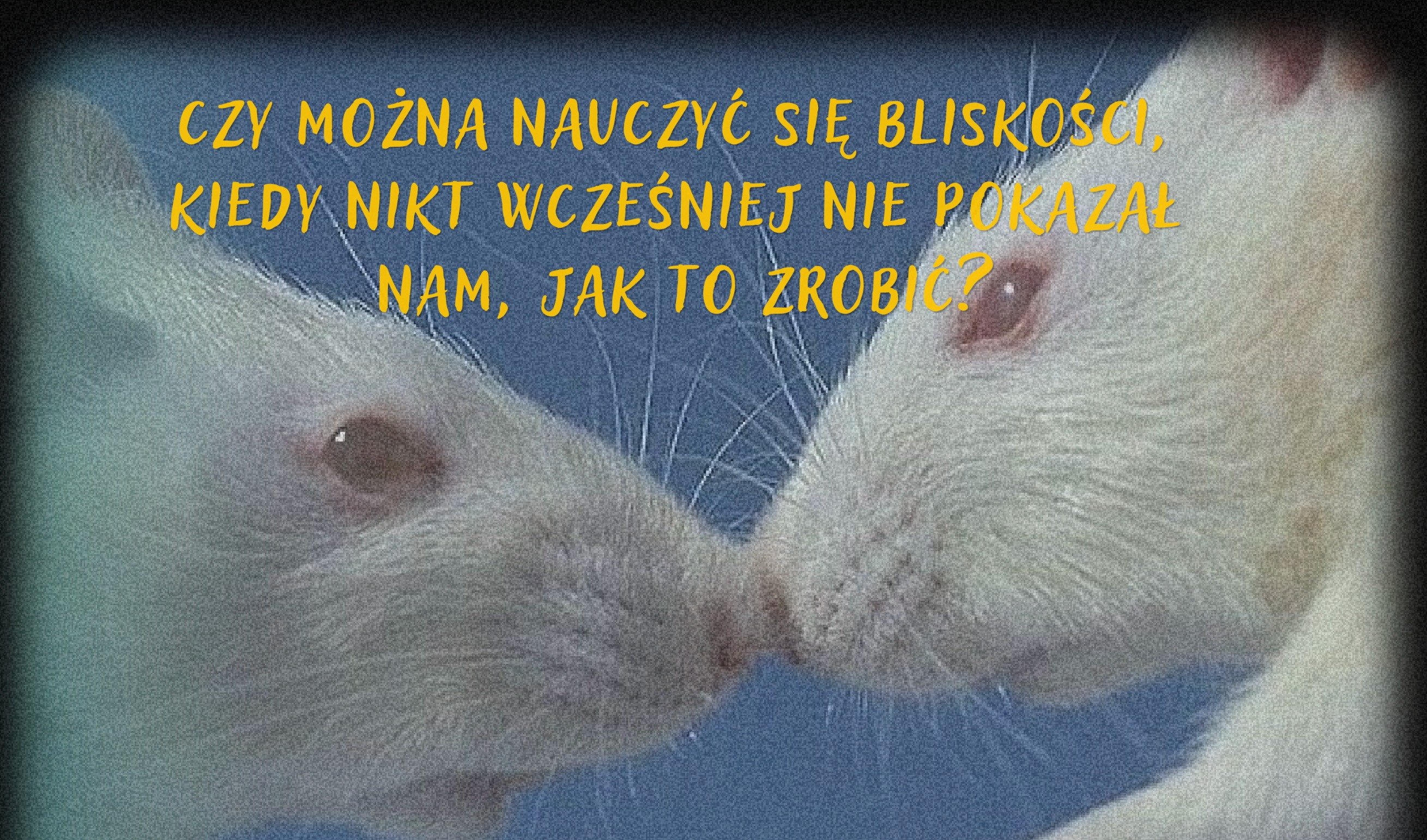 3XUmSy4Y5IySX3My.jpg