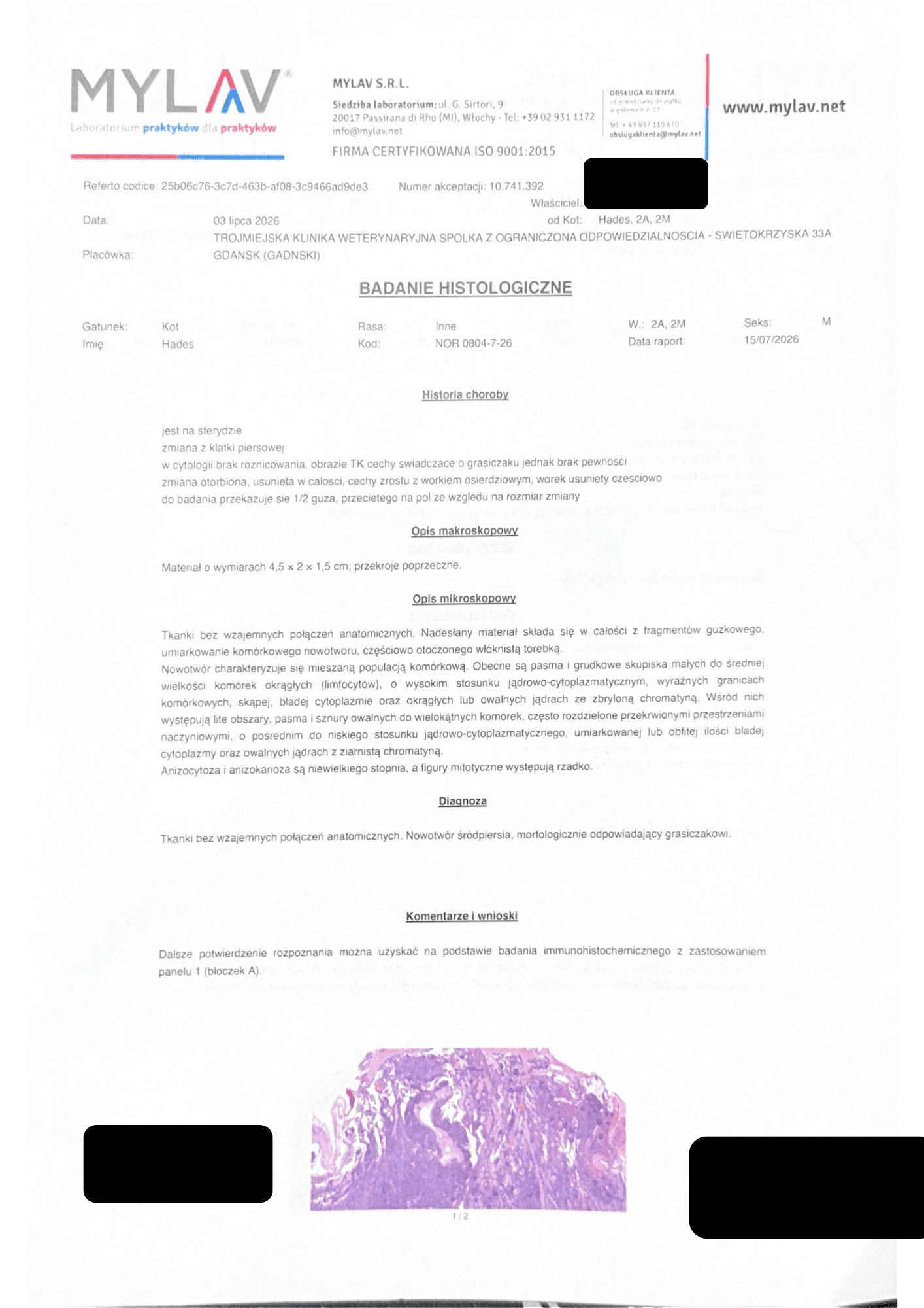 KRJIz81cEbwUcbzH.png