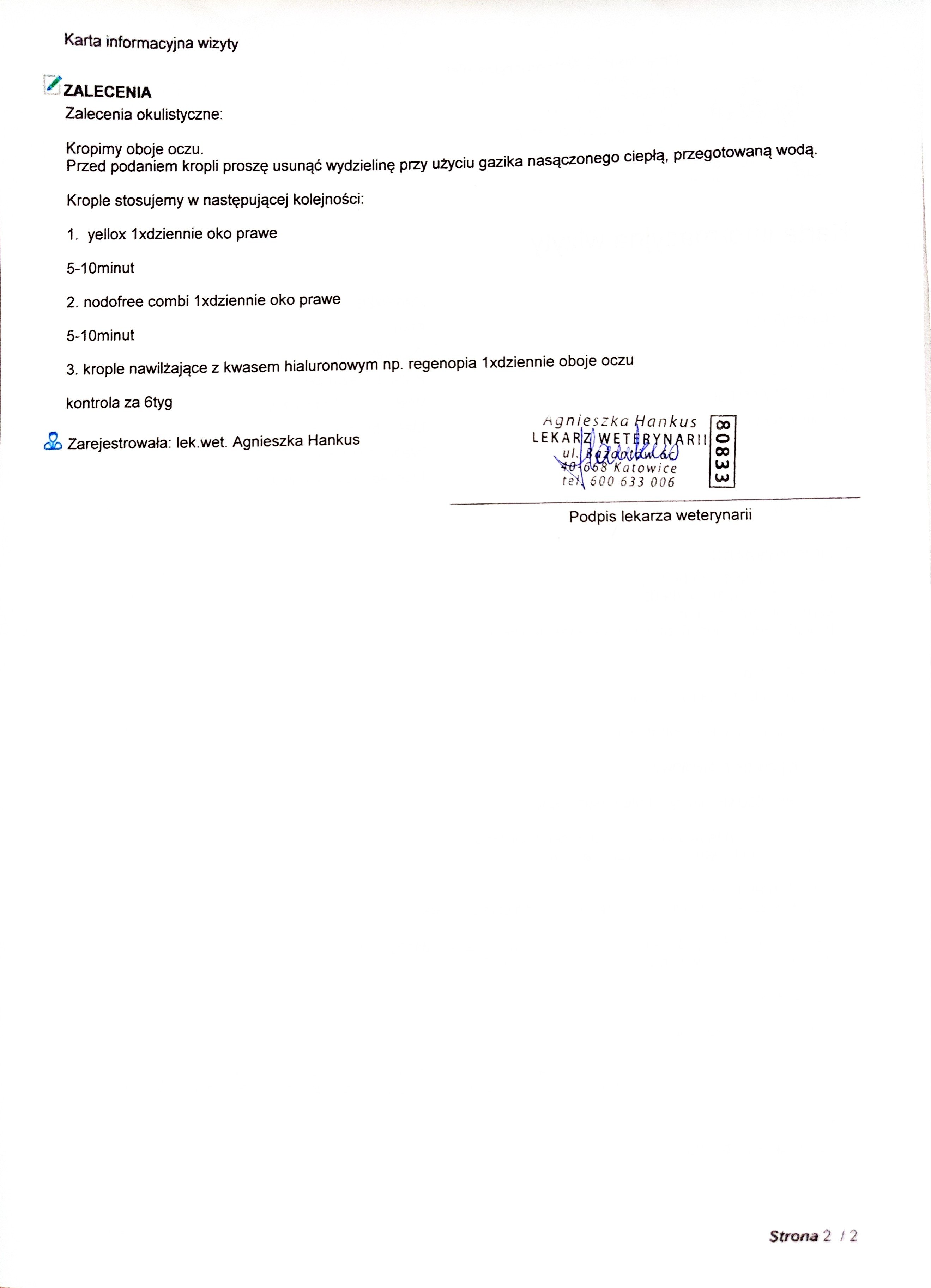 ktOQL6cteIGNSC99.jpg