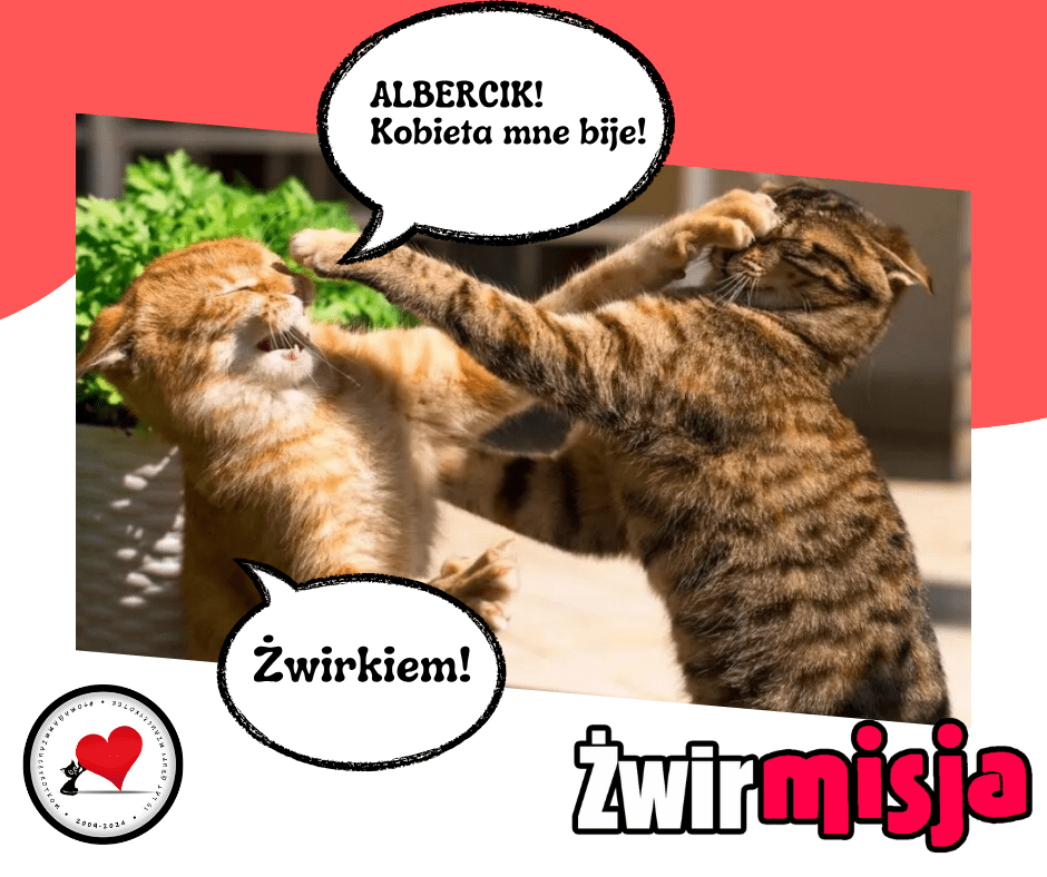 xxKIR0oMIfSLRrzT.png