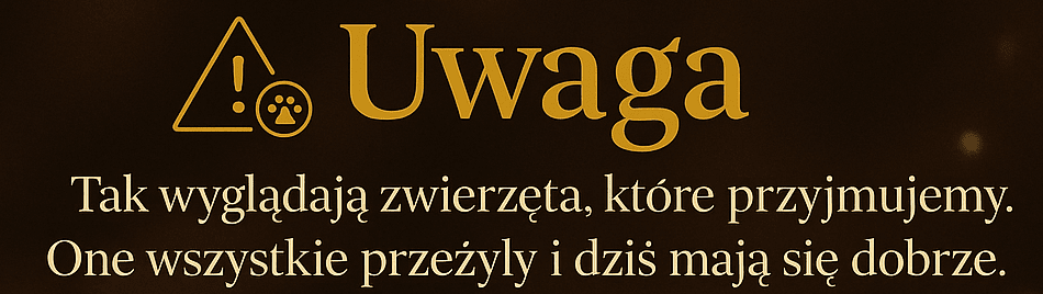 IYi9gVAdGEuGrNFP.png