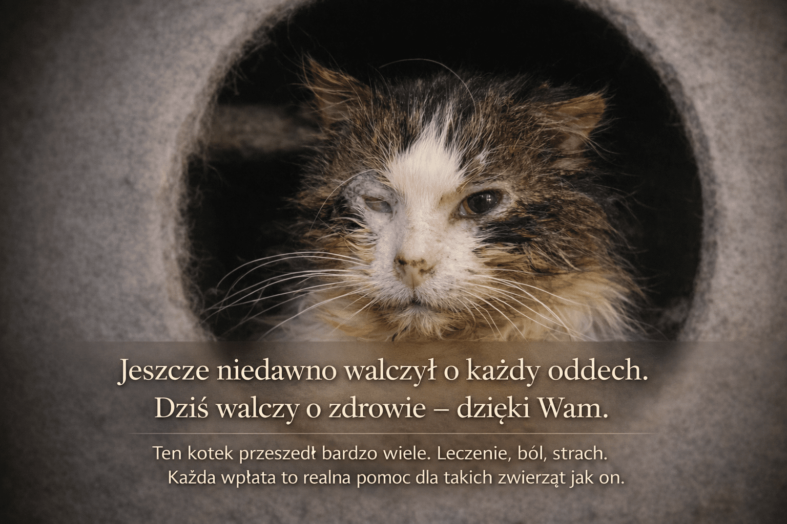 bpFKFcxhKQgb1wRW.png