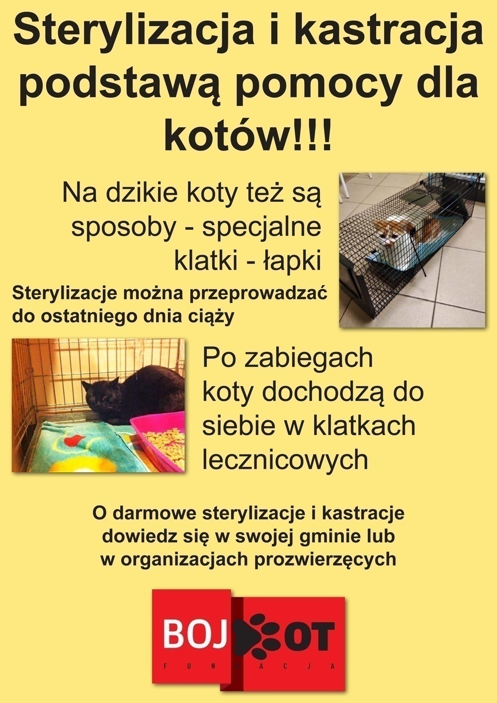 p3f459507fa16867.jpeg