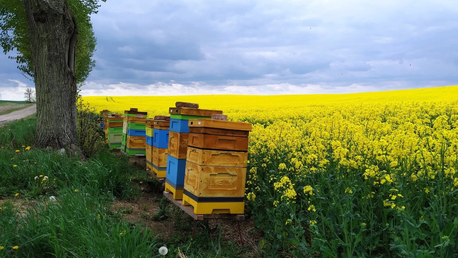 ddNix5zirGxj4QLc.jpg