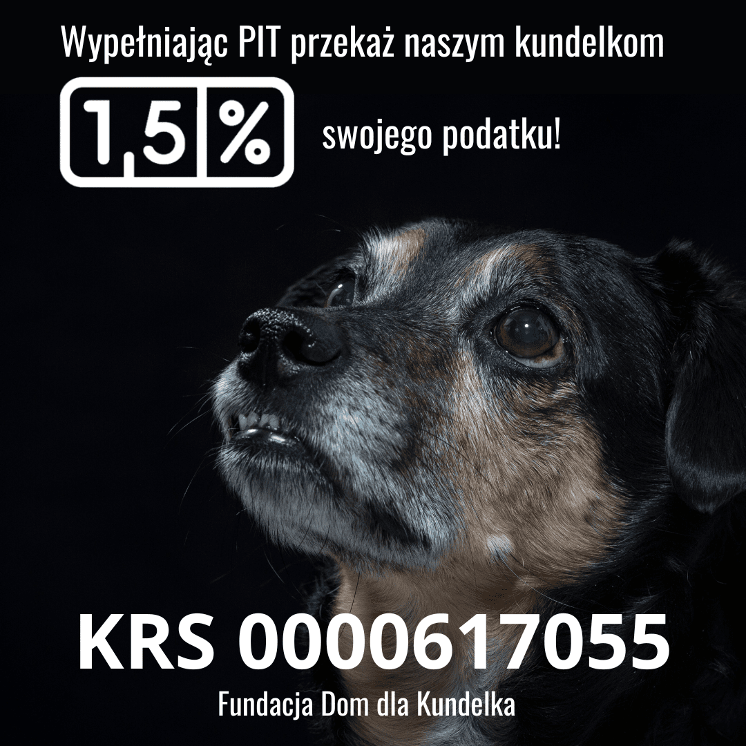 v9hzrceyn03MTtRc.png