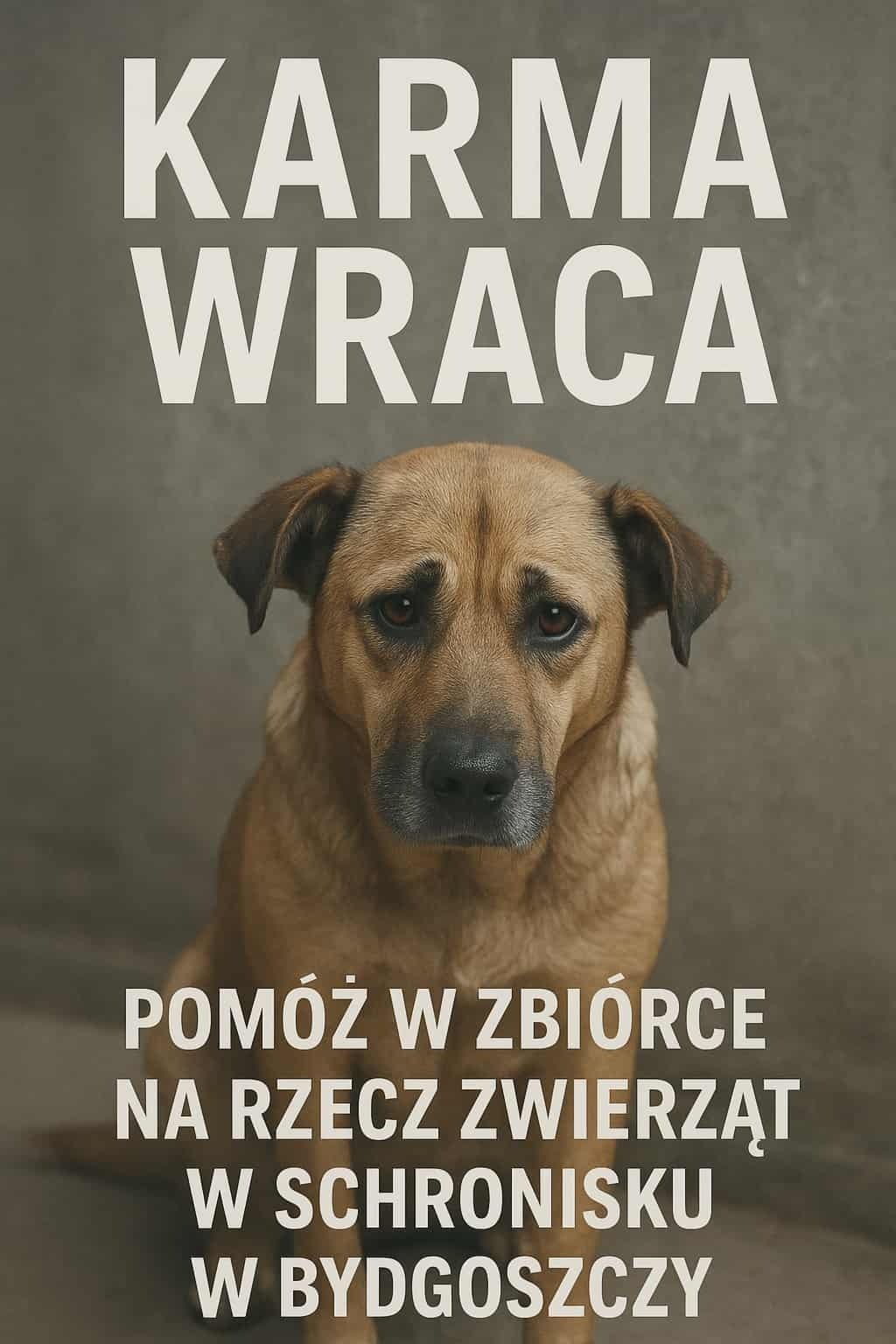 ppW0mBYr16zSUpjo.jpg