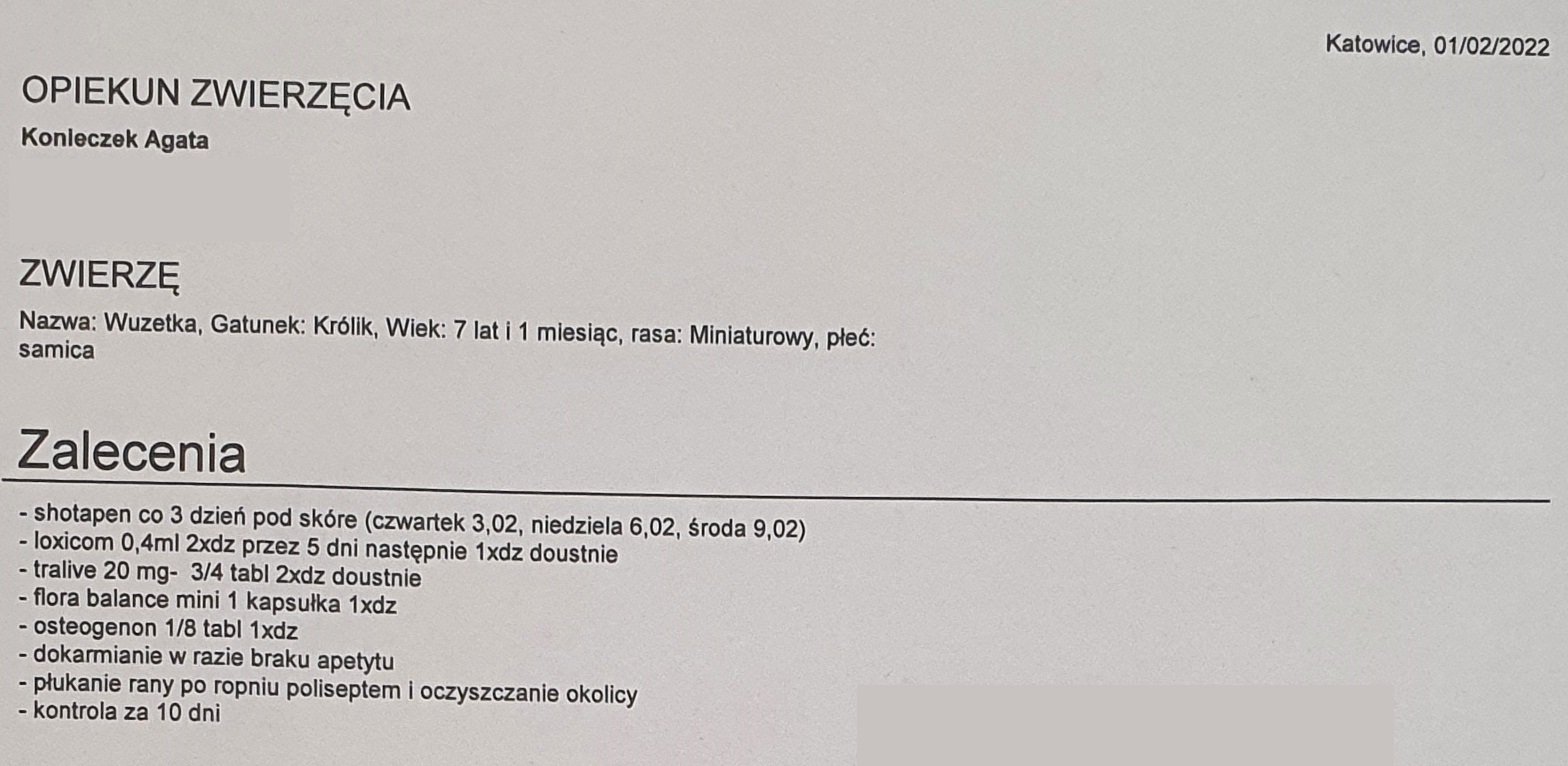 ae771be4dc55fa8c.jpeg