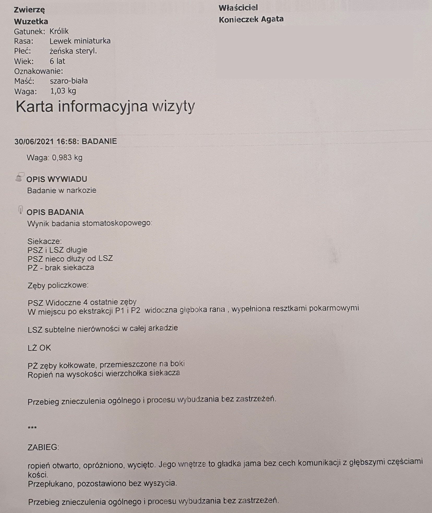 iba541895706a9c3.jpeg