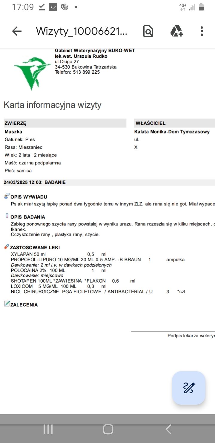 lmc1eo2kaef8pESI.jpg
