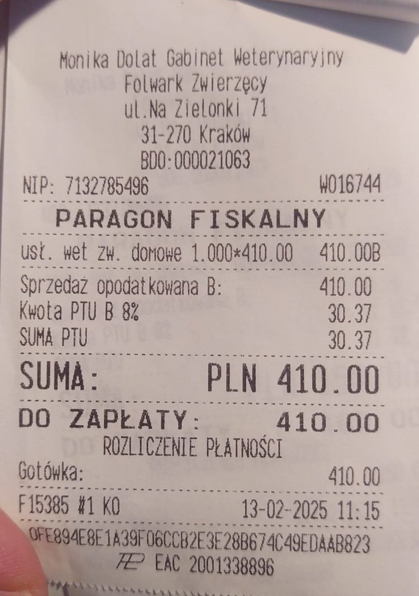 IjsUw9GA95B8u3j3.jpg