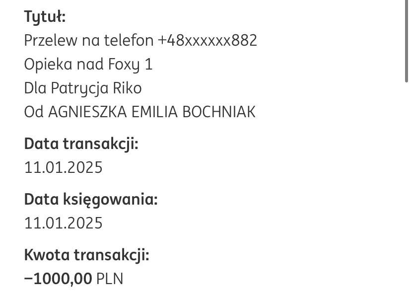 b1tciDYJEwSfTNQo.jpg