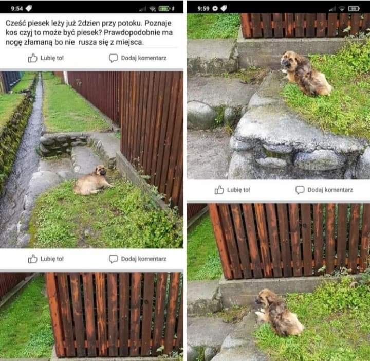 oa09858dd2d074a8.jpeg