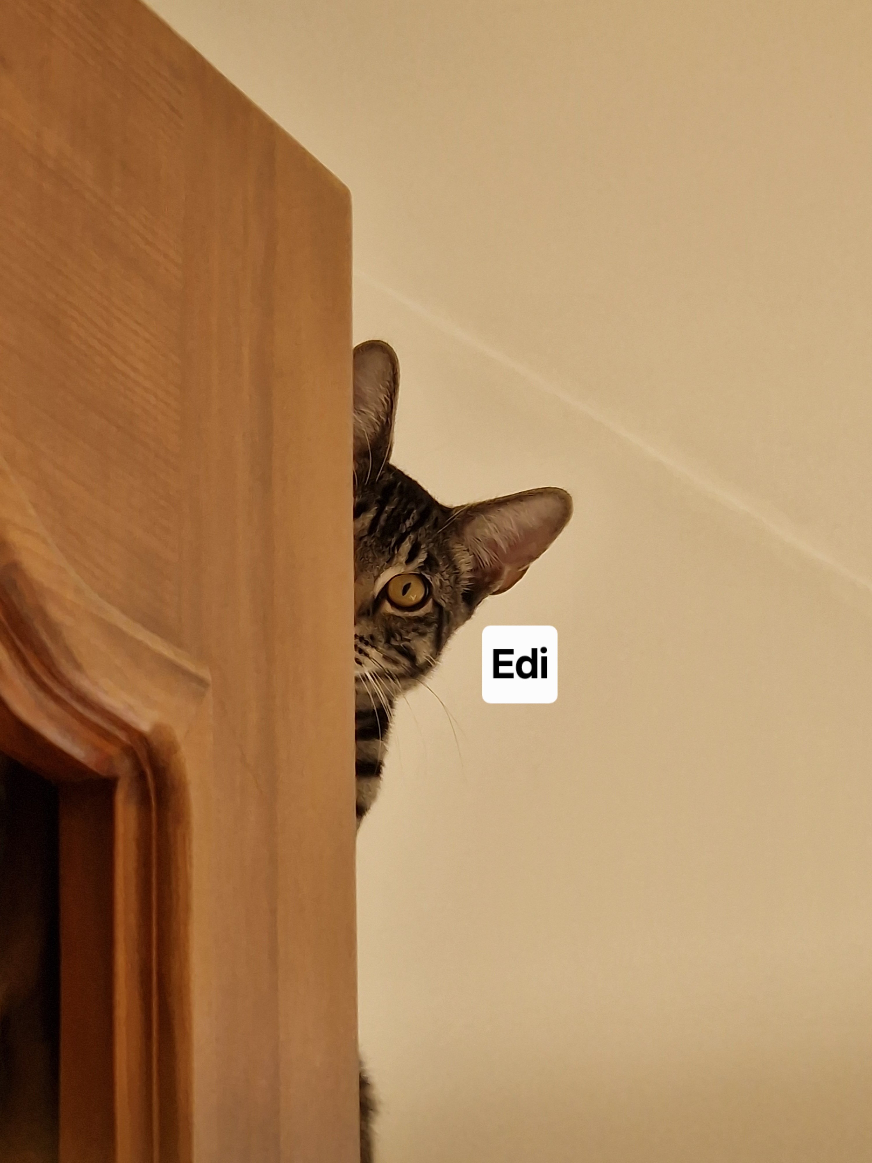 B8qGzSrDQSiwp6Hx.jpg