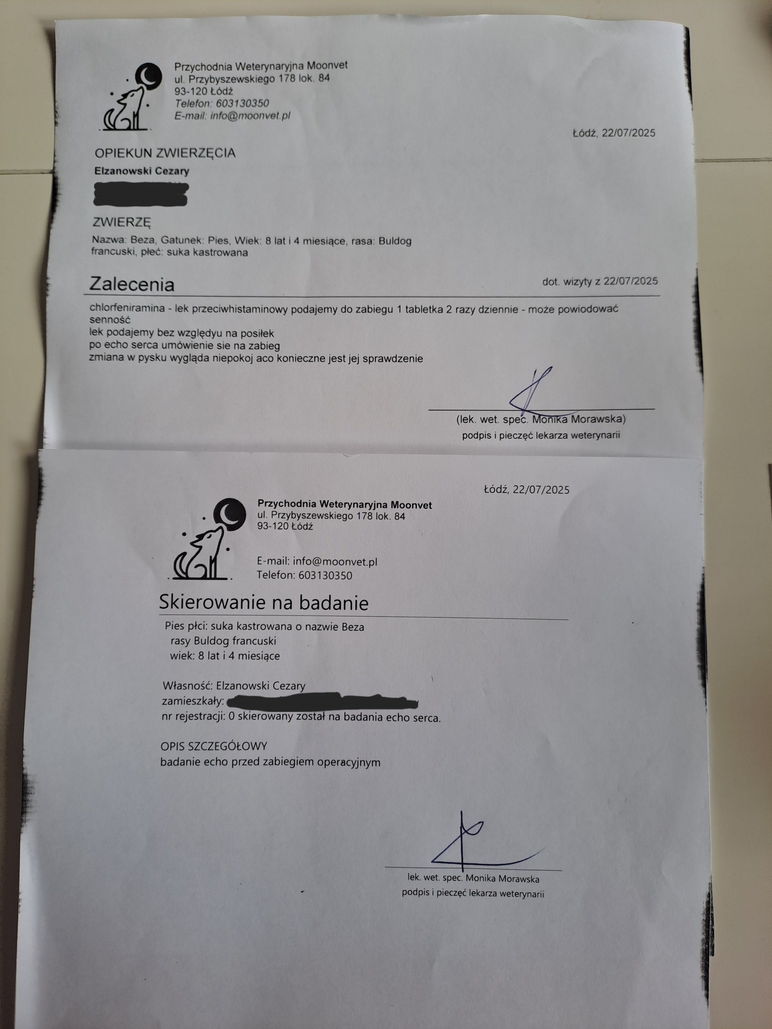 pVZgSYiXBOGFBze6.jpg