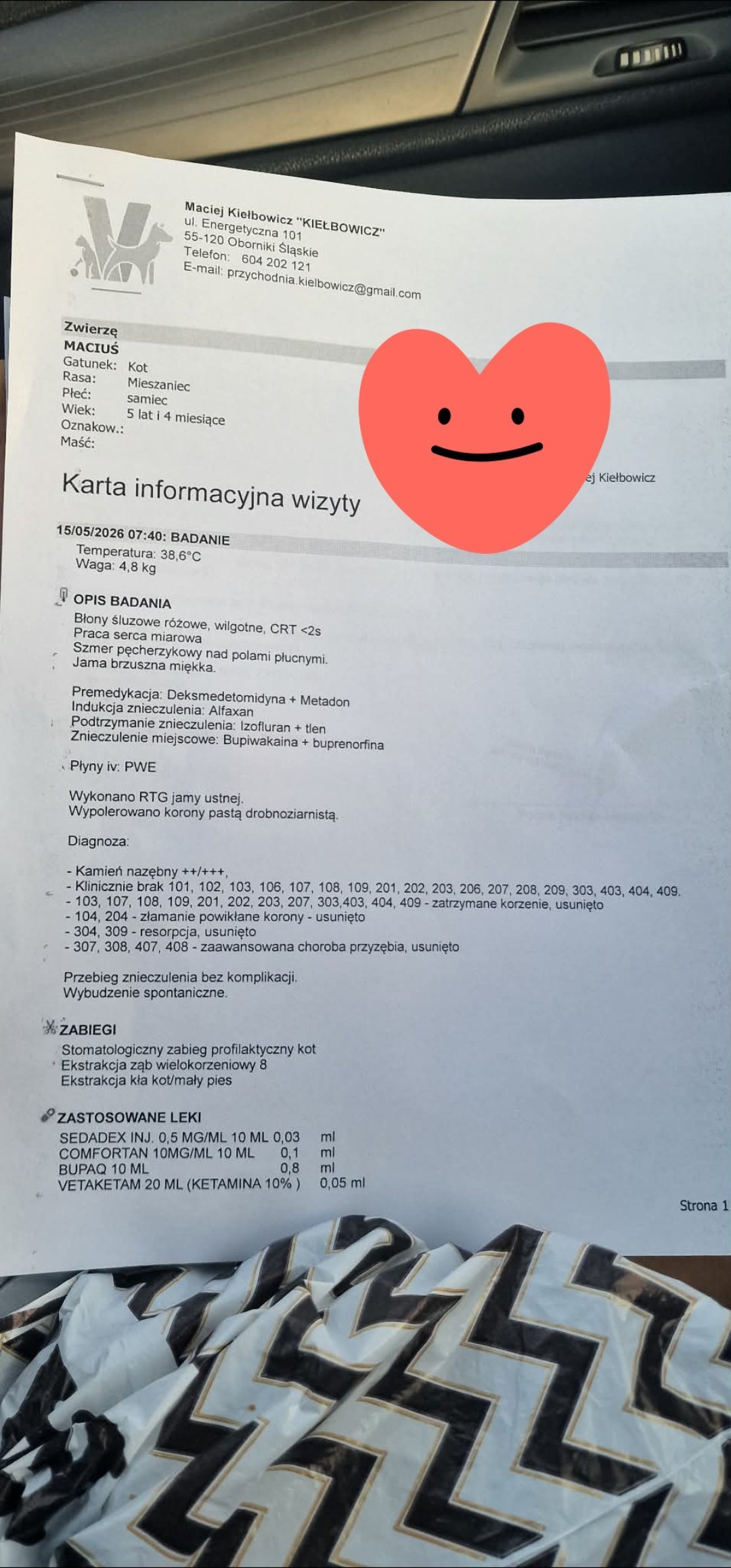 IjJ4A1uJEsnJhZcy.jpg