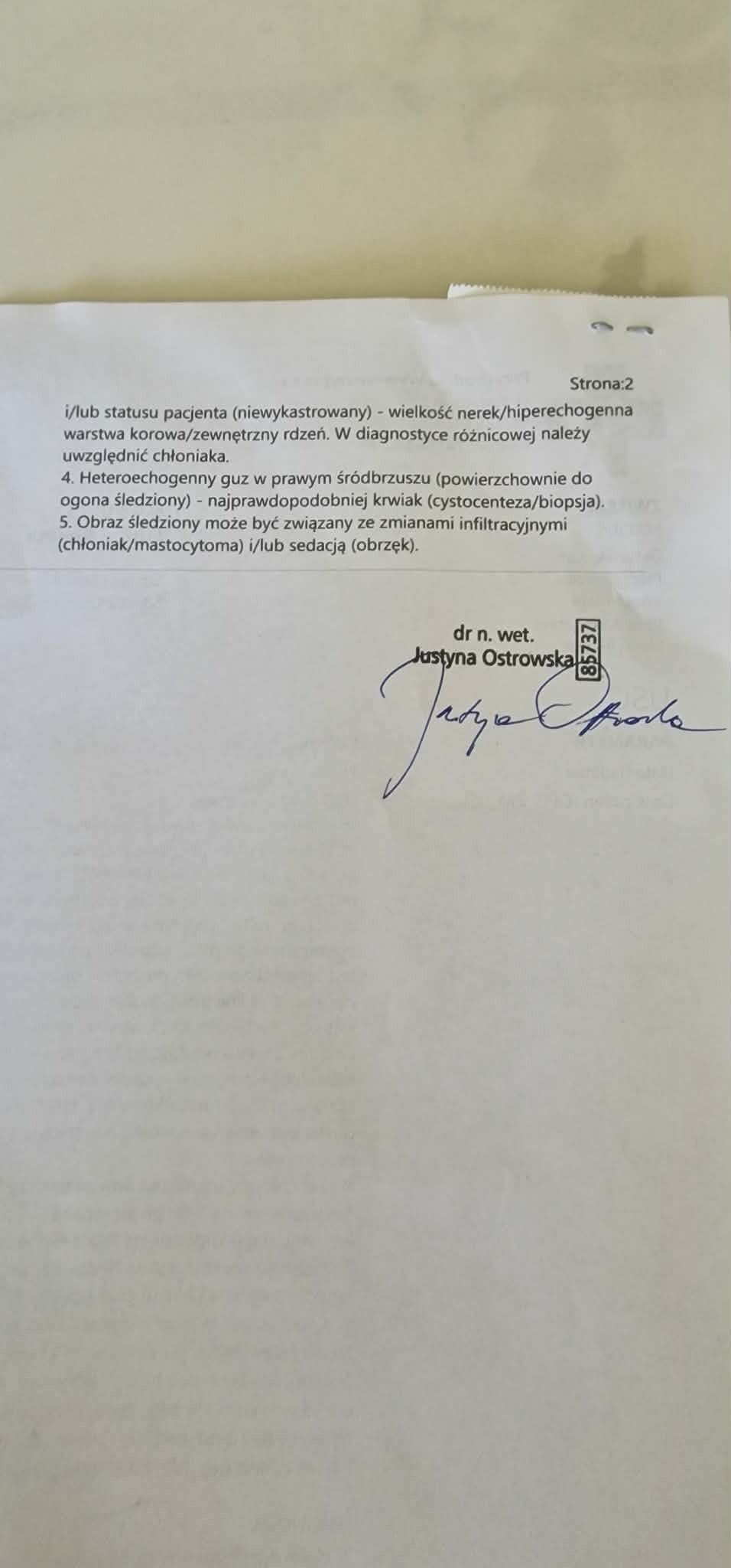 qpEPKR5zahMQx2bF.jpg